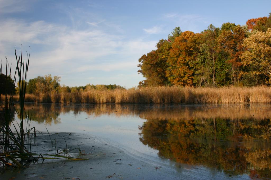 Competition entry: Canoe Landing at Buckhorn