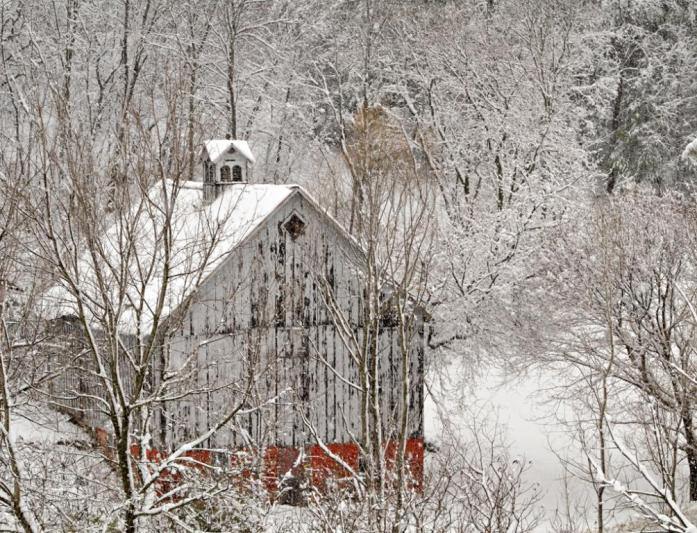 Competition entry: Barn & Snowy Trees