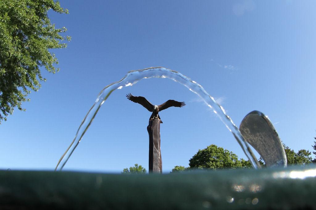 Competition entry: La Crosse Arch and Eagle