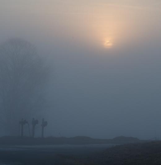 Competition entry: Foggy Sunrise