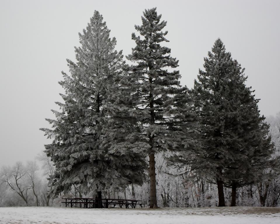 Competition entry: Frosty Morning