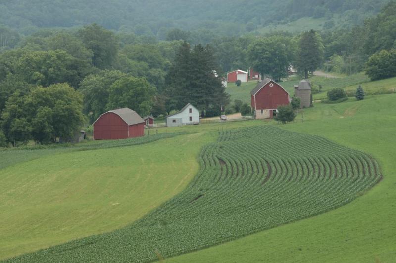 Competition entry: WI Farm