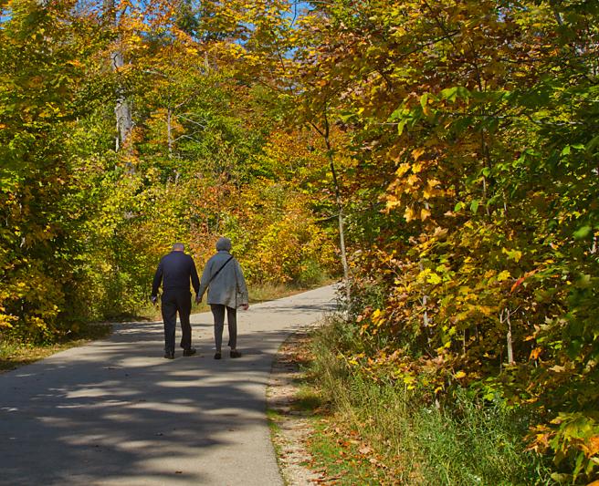 Competition entry: Enjoying the Autumn of Life