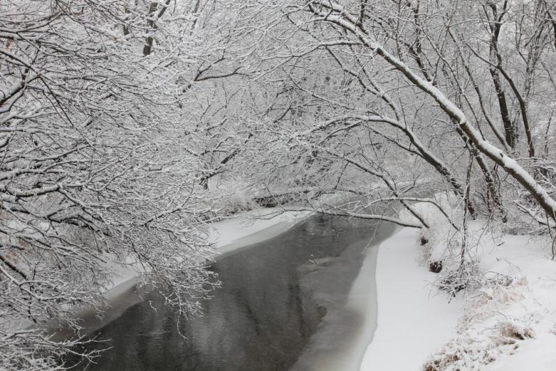 Competition entry: Snowy Morning on Coon Creek