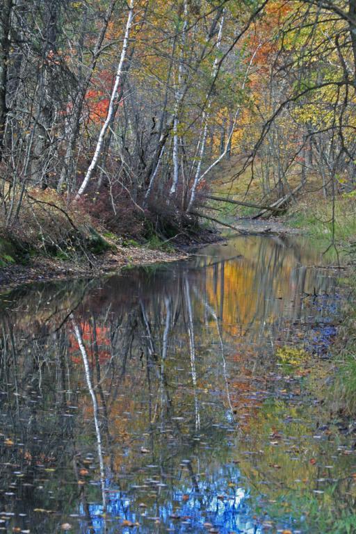 Competition entry: Fall Reflections