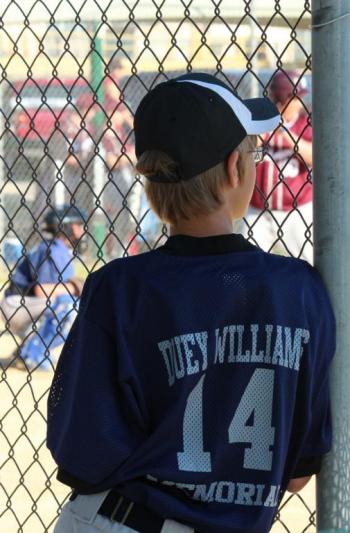 Competition entry: Watching from the Dugout