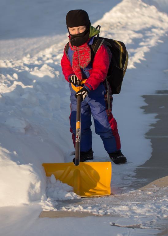 Competition entry: Morning Chores