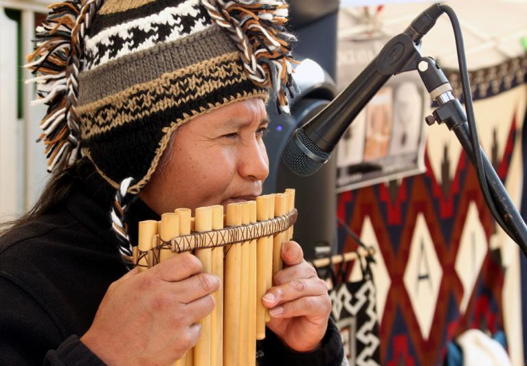 Competition entry: Panpipe Player