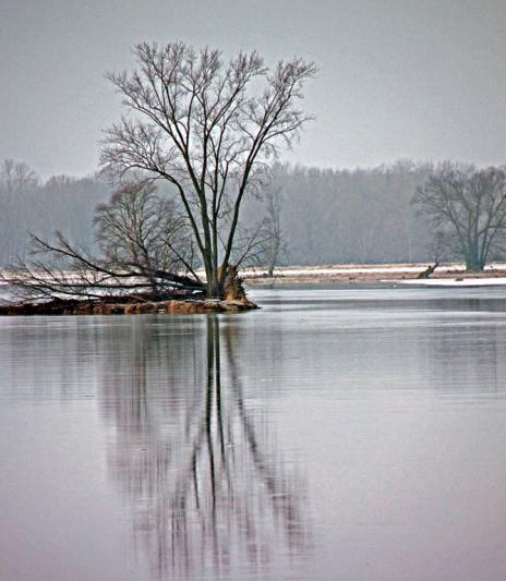 Competition entry: Winter Reflection