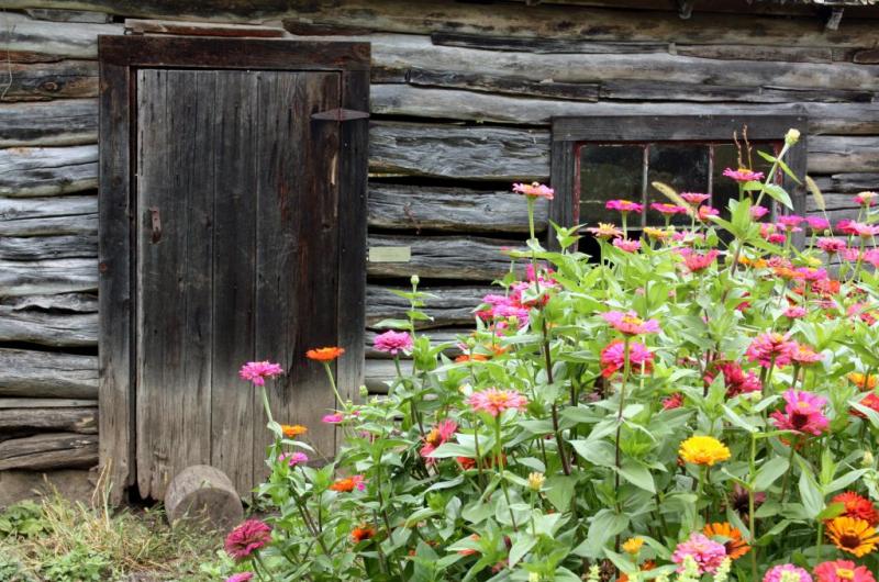 Competition entry: Flowers at Cabin Door