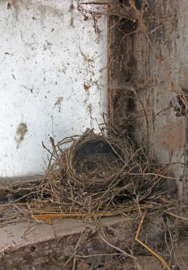 Competition entry: Abandoned Barn Nest