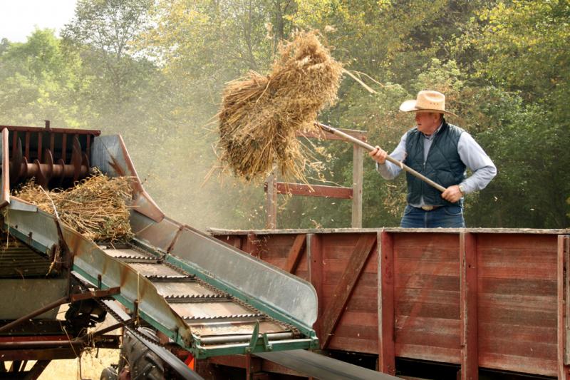 Competition entry: Threshing Oats