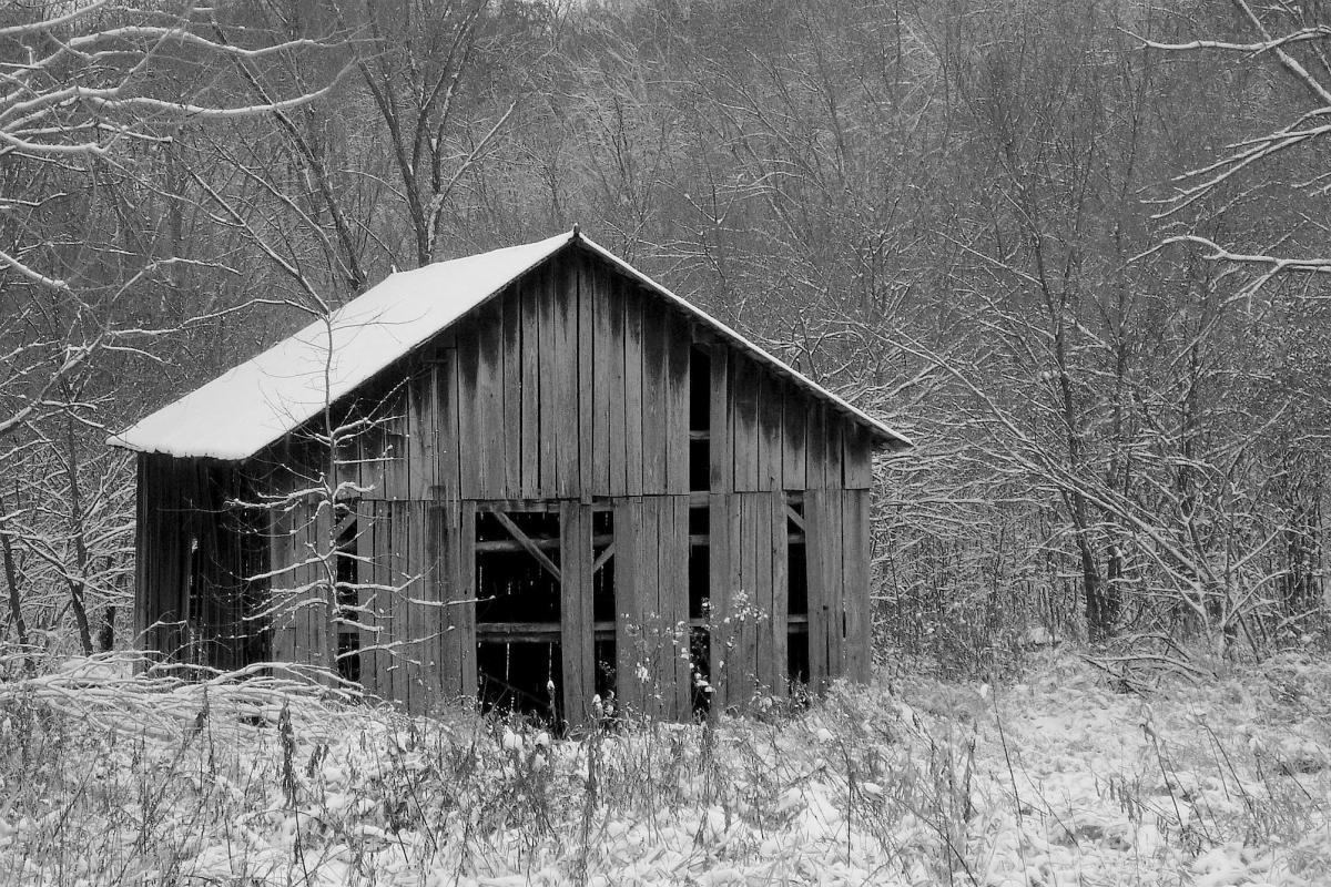 Competition entry: Old Shed in Winter