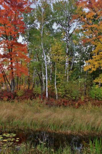 Competition entry: Beautiful fall day in Wisconsin