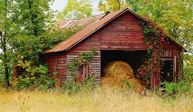 Competition entry: Shed & Hay Bales