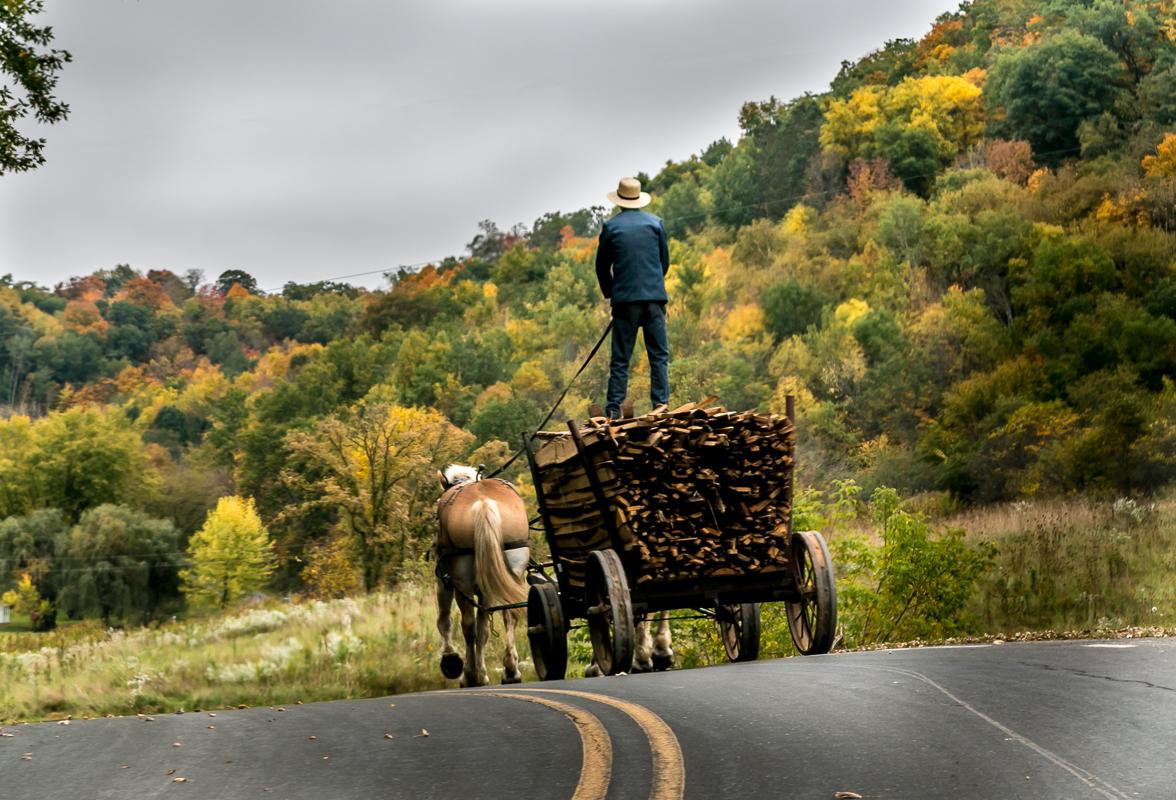 Competition entry: Amish Road Surfer