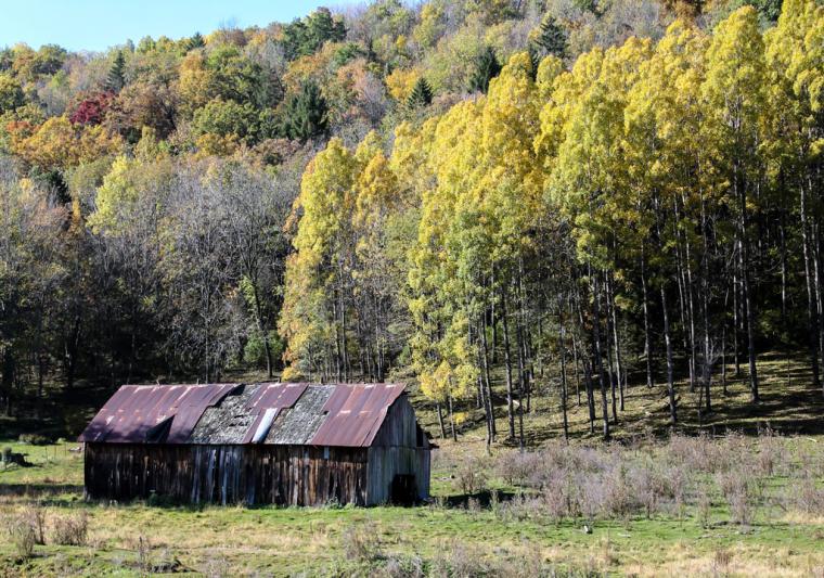 Competition entry: Aging Shed