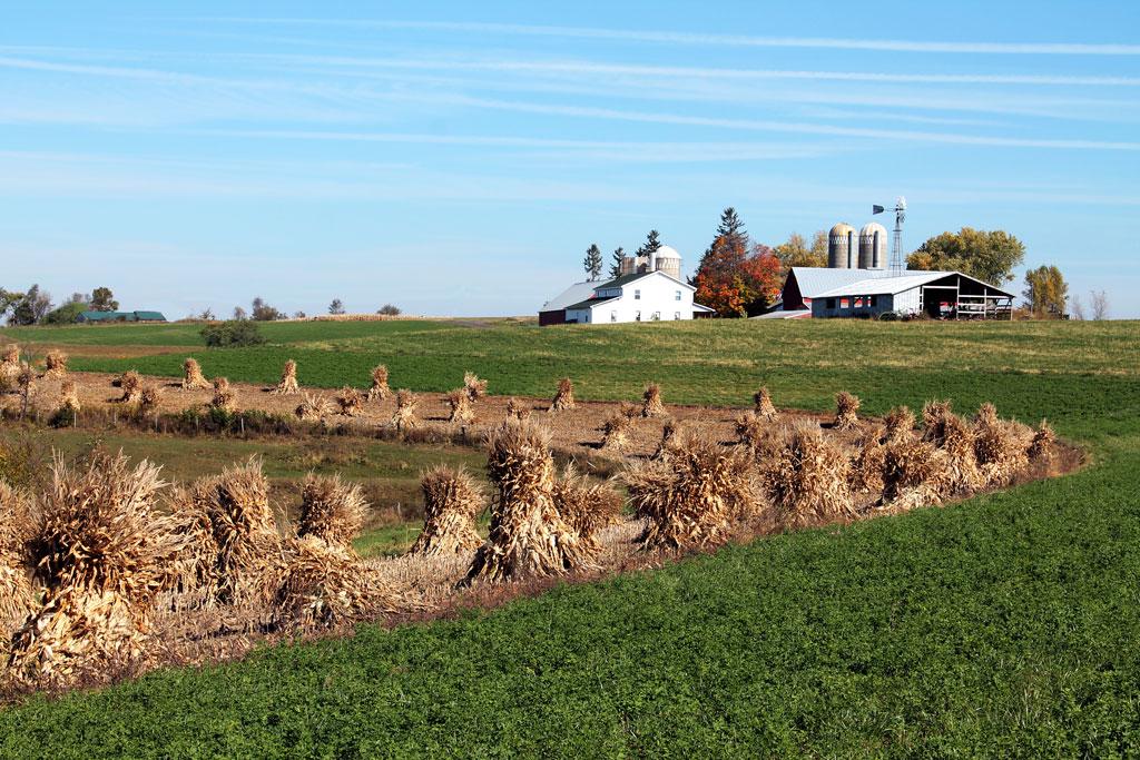 Competition entry: Amish Homestead