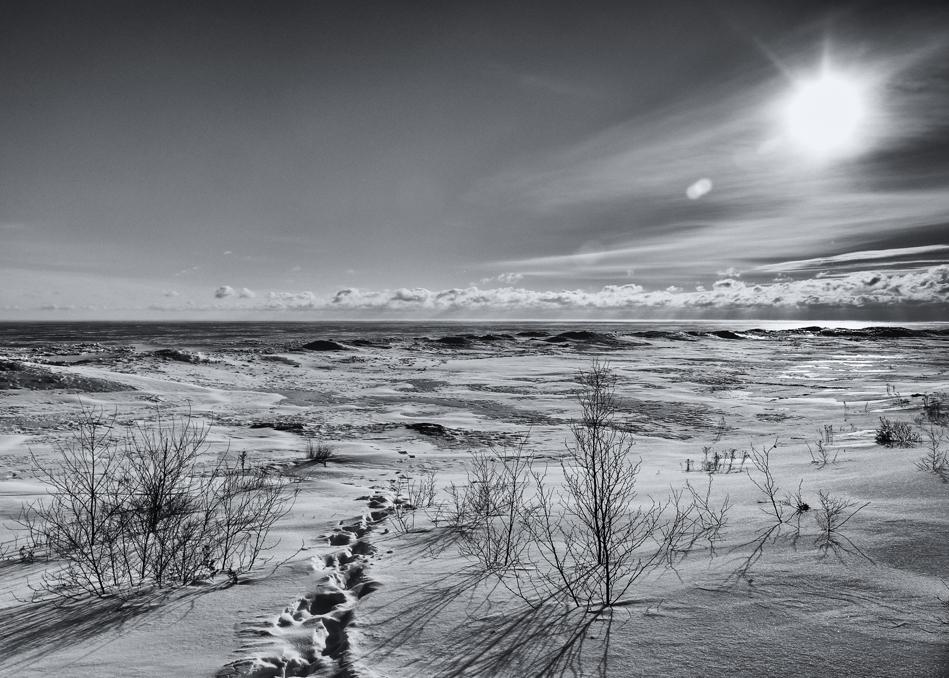 Competition entry: Frozen Tundra in B&W