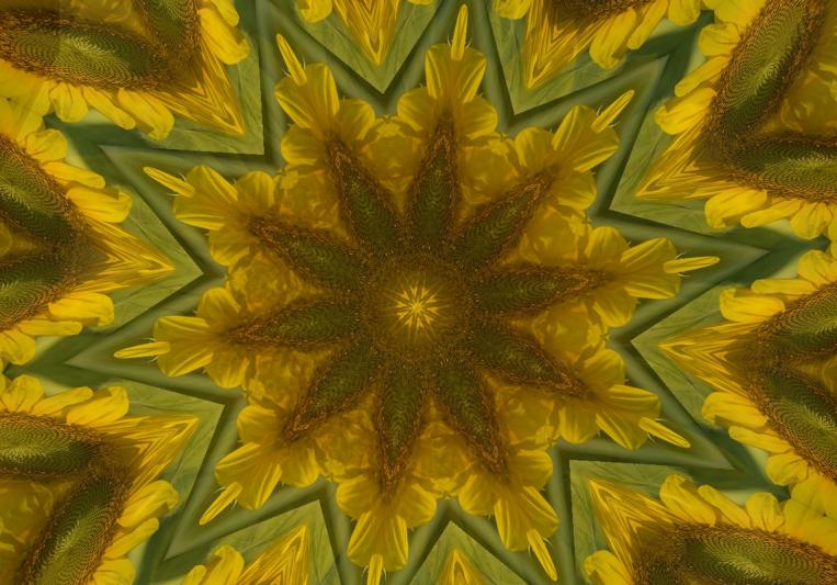 Competition entry: Sunflower Kaleidoscope