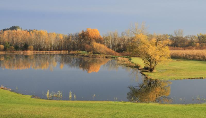 Competition entry: The Pond at the Golden Hour