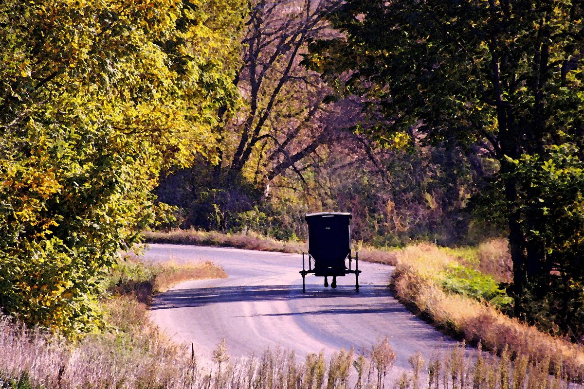 Competition entry: Down a Country Road