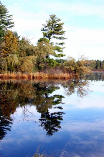 Competition entry: Autumn Reflections