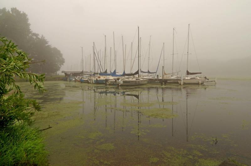 Competition entry: Foggy morning at the Club