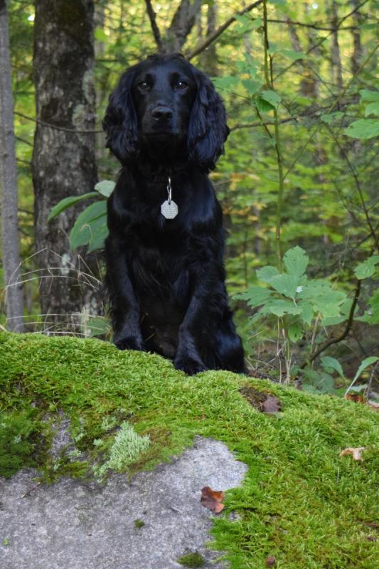 Competition entry: Sitting Pretty