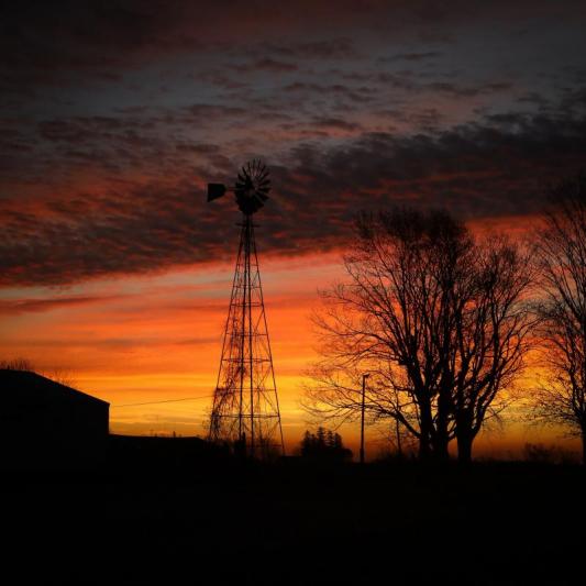 Competition entry: Neighbor's Windmill