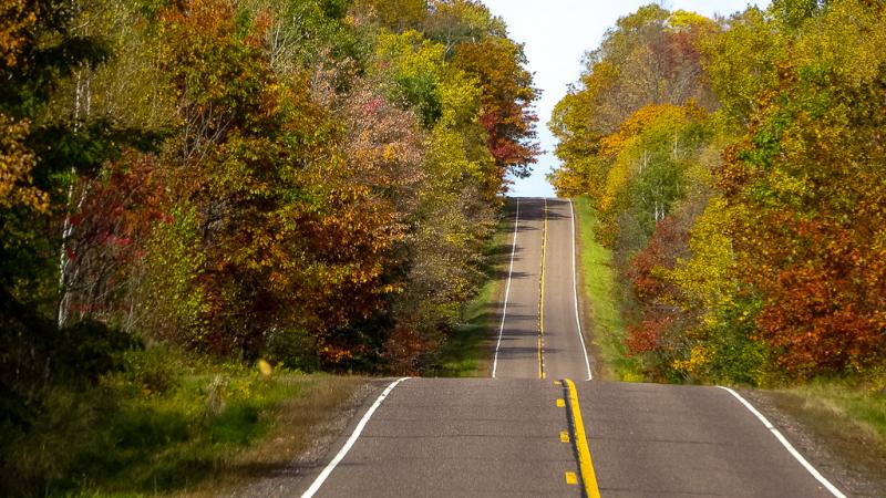 Competition entry: Road of Fall Colors