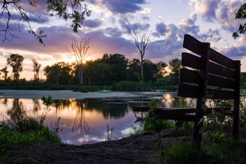 Competition entry: Come Sit a Spell at Myrick Marsh