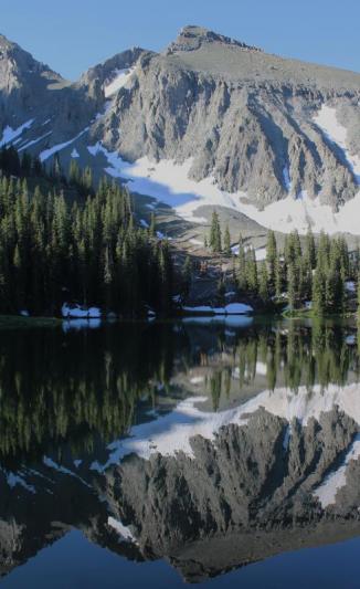 Competition entry: Colorado Mountains in June