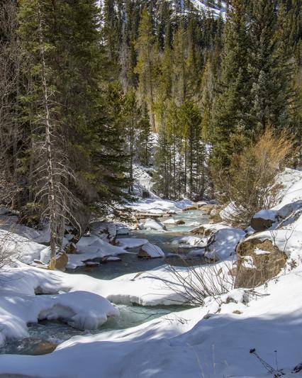 Competition entry: Spring Time in the Rockies