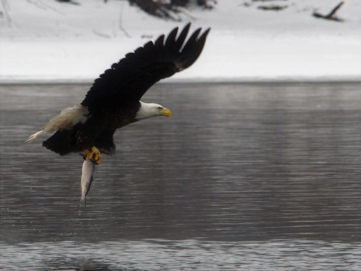 Competition entry: Catch of the day