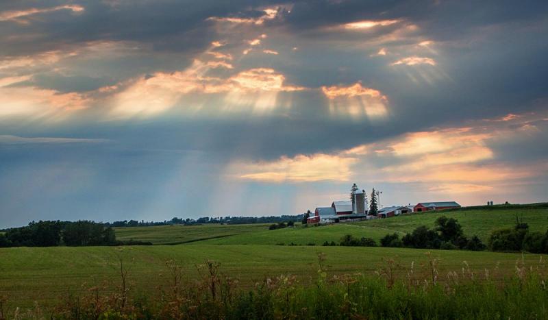 Competition entry: God Bless Farmers