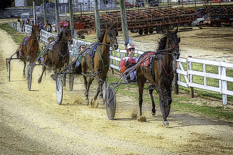 Competition entry: Harness Racing