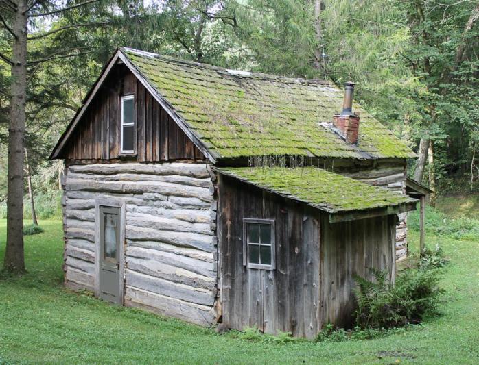 Competition entry: Old Log Cabin