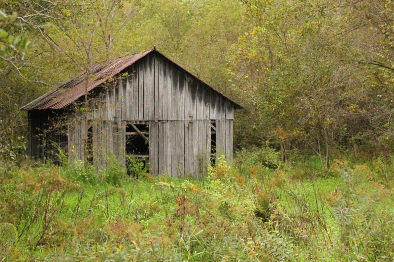 Competition entry: Tobacco Shed in Fall