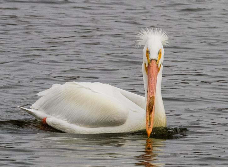 Competition entry: And you only noticed my hair?