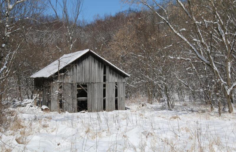 Competition entry: The Old Shed