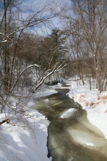 Competition entry: Creek in Winter