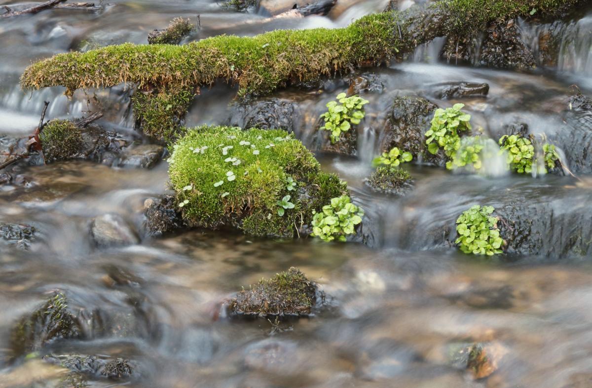 Competition entry: Norskedalen Waterfall