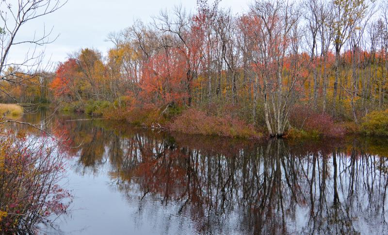 Competition entry: River Reflections