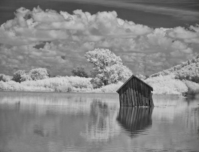 Competition entry: Submerged Shack