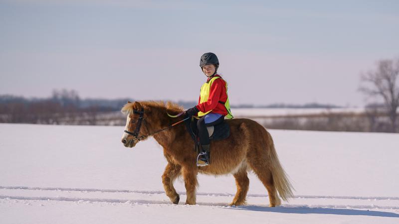 Competition entry: Horse-shoeing