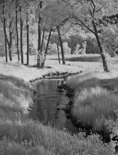 Competition entry: Infrared Stream #6