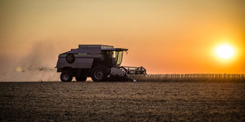 Competition entry: Bean Harvest