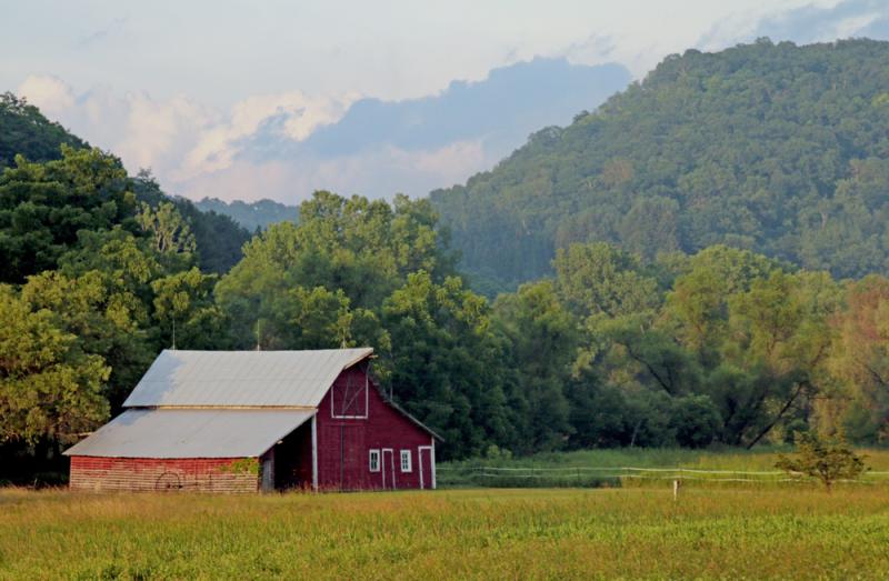 Competition entry: Little Red Barn