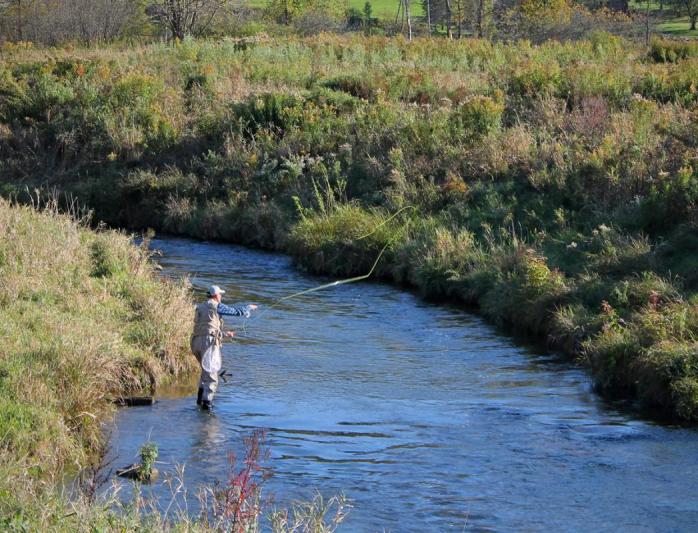 Competition entry: Man Fishing